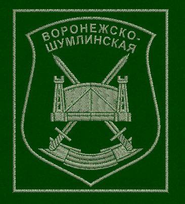 Шеврон выш. пол. ("19 МСБ", олива, зел. нити, (гретта),н.о. (на липучке))