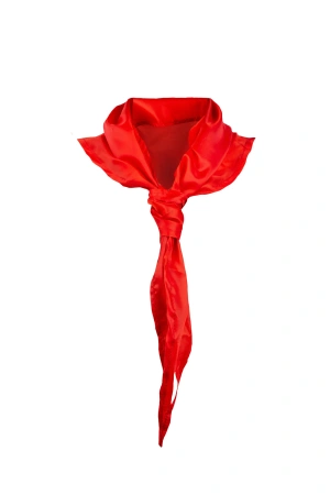 Галстук "Патриот"